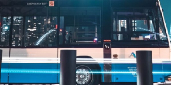 bus