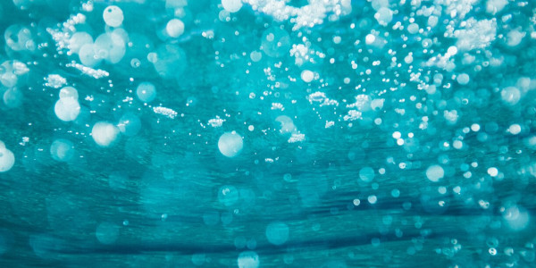 rsz 1sime basioli brkikonp0kq unsplash
